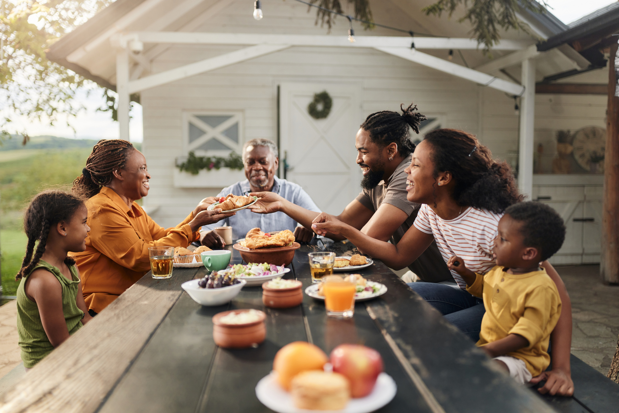 family picnic